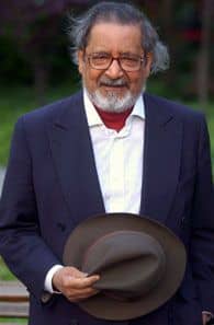 Naipaul, V. S.
